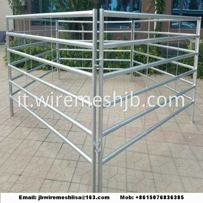 Hot Dipped Galvanized Metal Horse Fence